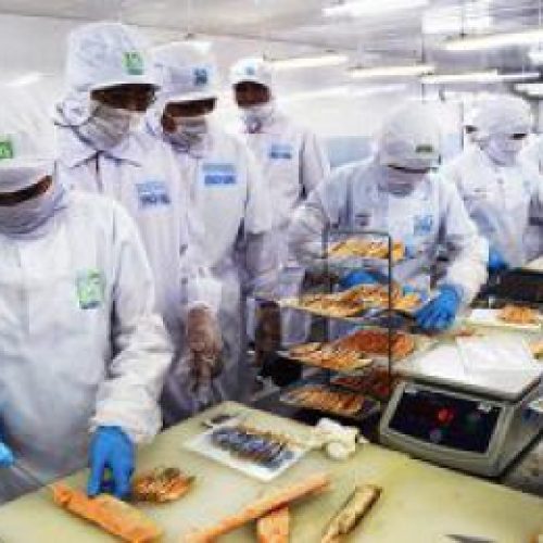 Chuẩn đầu ra ngành Kỹ thuật công nghệ chế biến và bảo quản thực phẩm