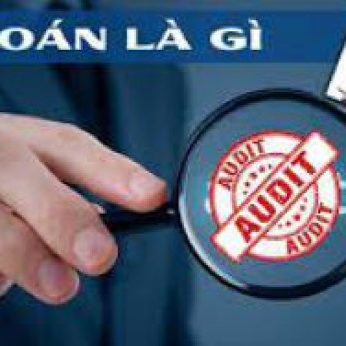 Giới thiệu về ngành Kiểm toán (Kế toán kiểm toán)