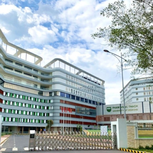 Kế hoạch TP.HCM sáp nhập trường giai đoạn 2026-2030: Hình thành mạng lưới giáo dục quy mô lớn