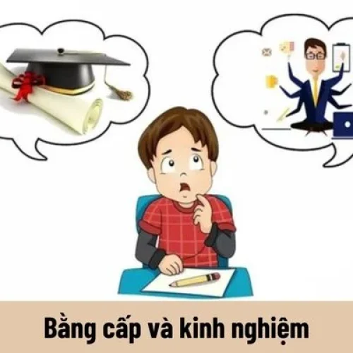 Có 3 bằng đại học nhưng vẫn thất nghiệp là một thực trạng ở Việt Nam